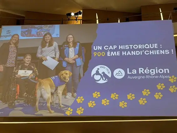 900 vies transformées : un hommage à Handi’chiens