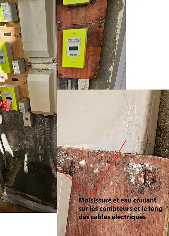 Quartier Buclos – Grand Pré : allée du Bret, une situation d’insalubrité inacceptable