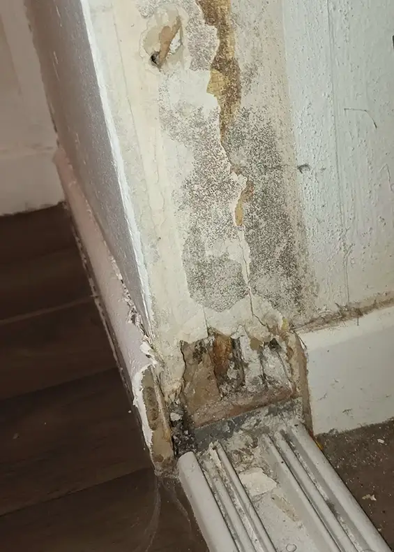 Quartier Buclos – Grand Pré : allée du Bret, une situation d’insalubrité inacceptable