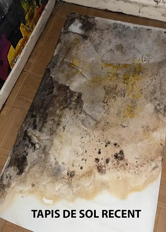 Quartier Buclos – Grand Pré : allée du Bret, une situation d’insalubrité inacceptable