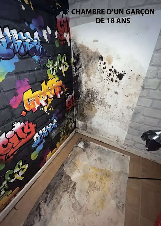 Quartier Buclos – Grand Pré : allée du Bret, une situation d’insalubrité inacceptable